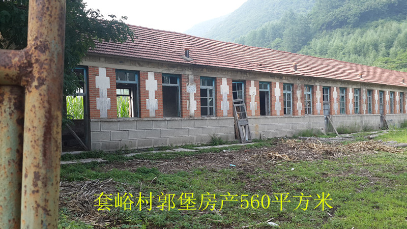 15̖(h��o)  ��Ϫ�M�����οh������С�W(xu��)У��