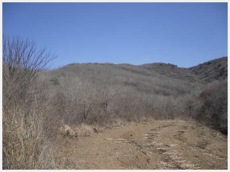 27̖ ������ë���(zh��n)��ë����֙�(qu��n)