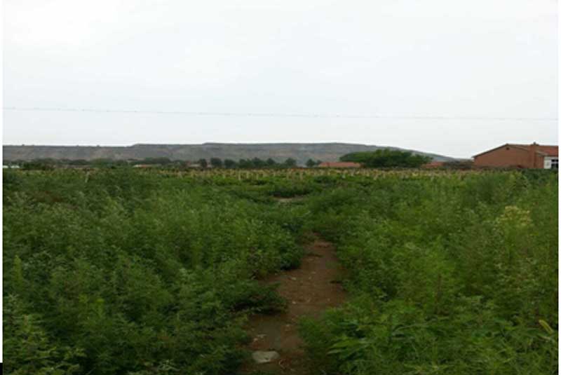 31̖ ��ɽ��ǧɽ�^(q��)�Ƽҷ��(zh��n)�W(xu��)����C������ʹ�Ù�(qu��n)